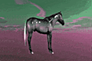 spinning horse